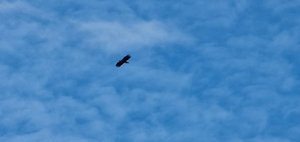 20230519_114210.jpg