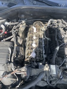 IMG_7266.jpeg