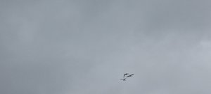 20230705_192704.jpg