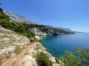 IMG_7449.jpeg