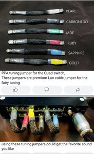 ppa1.jpg