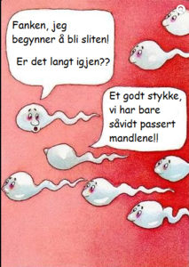 såvidt passert mandlene.png