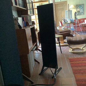 IMG_0305.jpeg