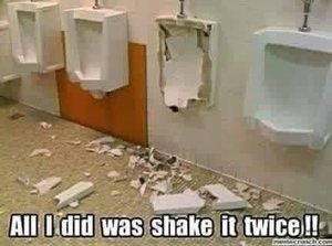 Shake It Twice.jpg