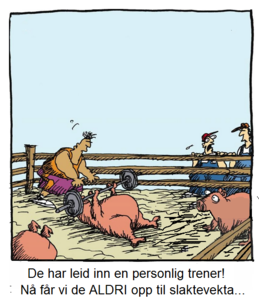 personlig trener.png