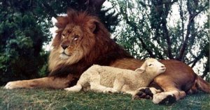 lion-or-lamb.jpg