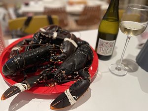 IMG_2664.jpeg