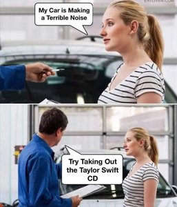 Take Out Taylor Swift CD.jpg