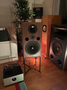 IMG_2779.jpeg