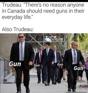 Trudeau tulling.jpg