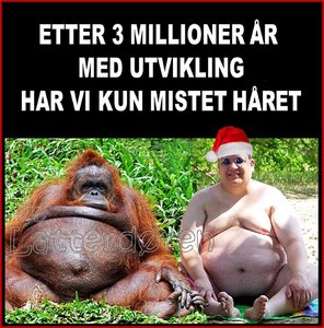 Etter Tre Millioner År.jpg