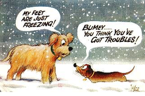 Dachshund%20in%20the%20snow%20cartoon.png