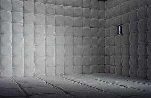 padded room5.jpg