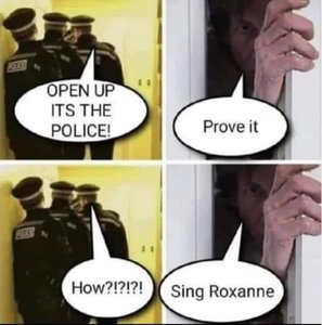 Sing Roxanne.jpg