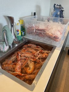 IMG_6577.jpeg