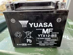 IMG_3462.jpeg