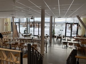 IMG_4728.jpeg
