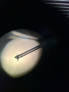 IMG_2409.jpeg
