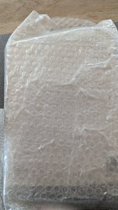 PXL_20240506_160820882.jpg
