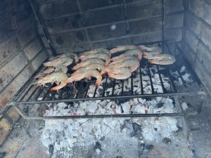 IMG_6376.jpeg